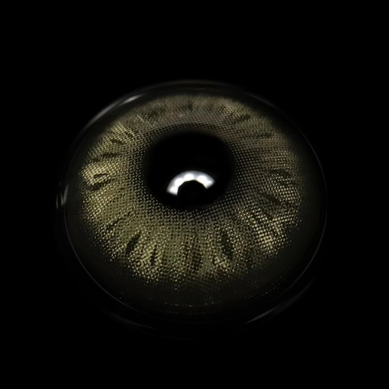 Vanessa Gray Colored Contact Lenses - Image 3